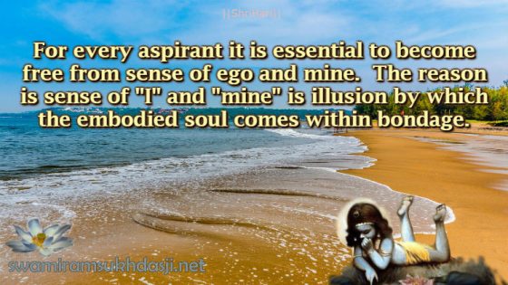 Self is Free from I-ness and Mineness